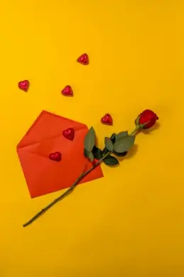 love backdrop envelope rose petals decor