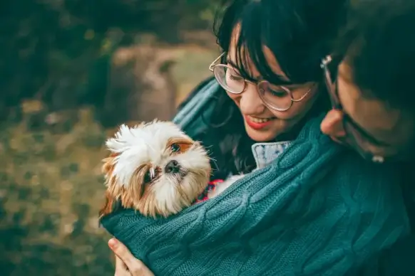 love picture love couple pet joyful 