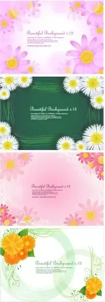 lovely small chrysanthemum backgrounds