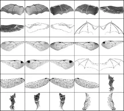 made in/for adobe photoshop 7. this is the third set of a series of feather brush