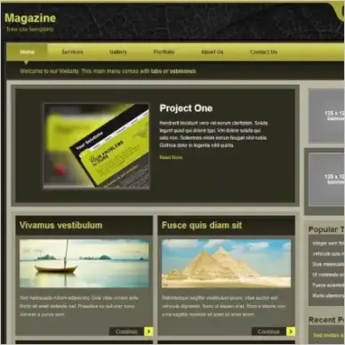  magazine