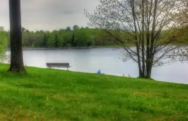 man next to the bench by the lake at council grounds state park wisconsin
