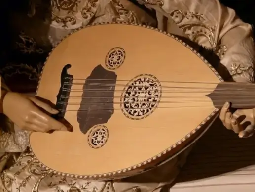 mandolin musical instrument music