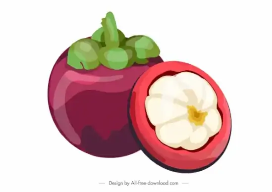 mangosteen fruit icon colored classic design cut sketch