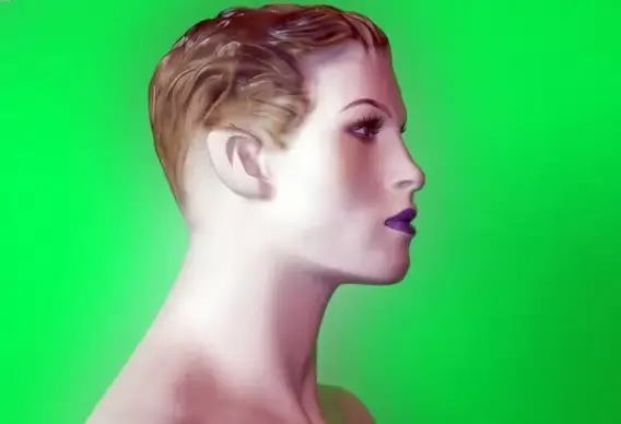 mannequin profile