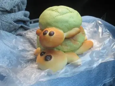 melon bread turtles