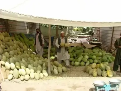 melons market stall kabul