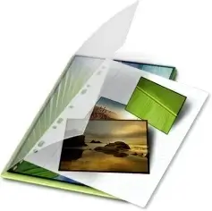 Mes photos vert