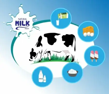 milk products infographic cow food icons decoration