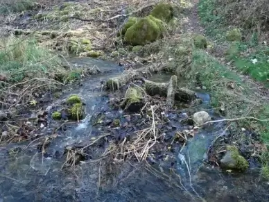 mini rapids at beaver creek valley state park minnesota