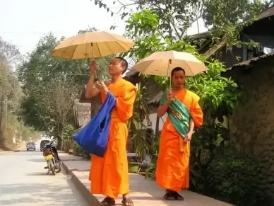monks buddhists orange