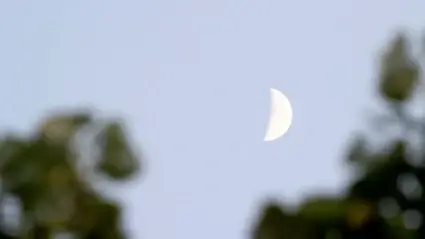Moon