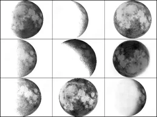 moon brush