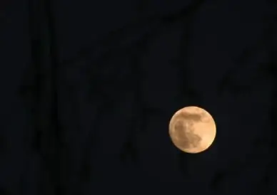 moon full moon night