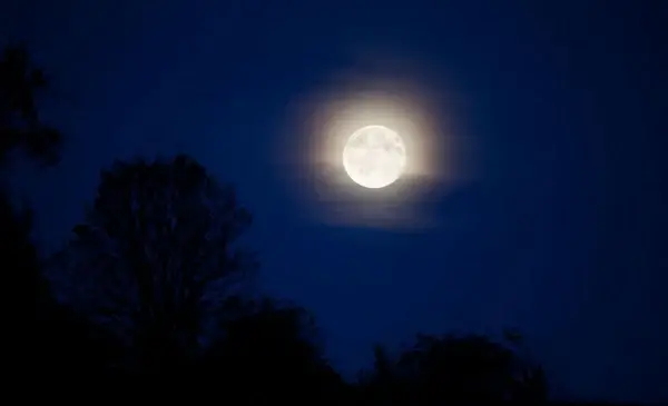 moonlight landscape