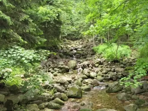 mountain stream
