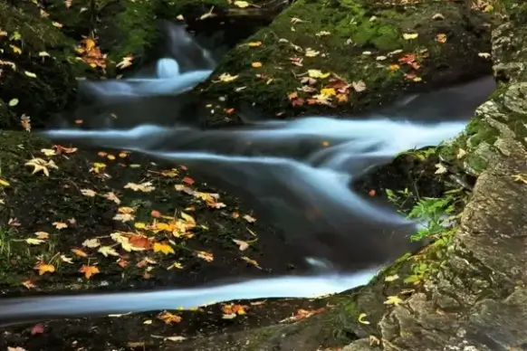 mountain stream in autumn