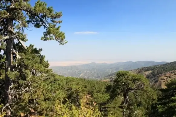 mountain view