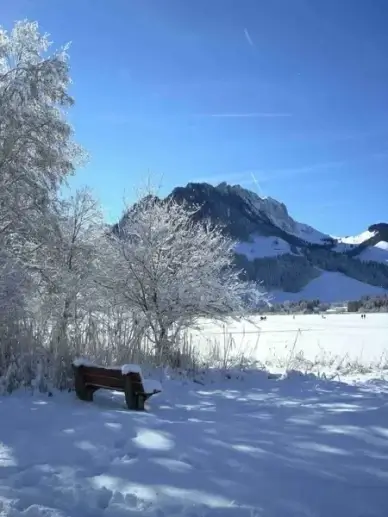mountains mountain landscape