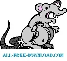 Mouse 37