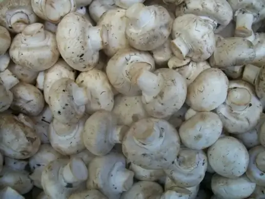 mushrooms