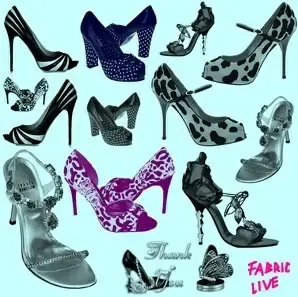 My Beautiful Shoes Brushes
