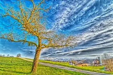 mysterious landscape