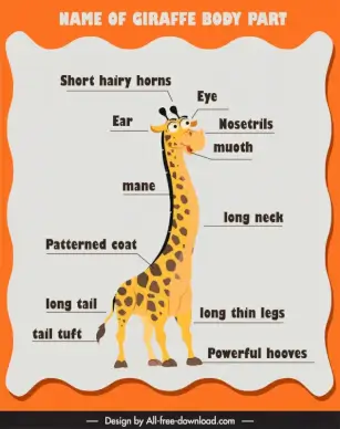 name of giraffe body part education template cute cartoon sketch