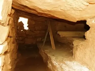native shelter building