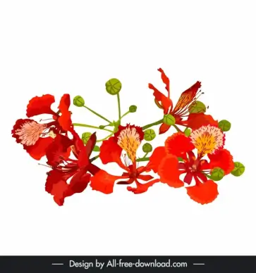 natural flamboyant design elements vintage handdrawn
