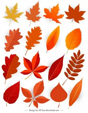 natural leaf icons modern design