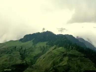 nature 38000 views