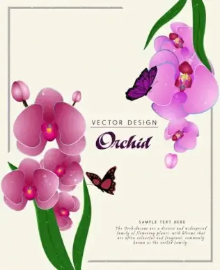 nature background purple orchids flowers ornament