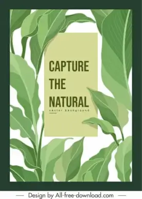 nature background template bright green leaves decor