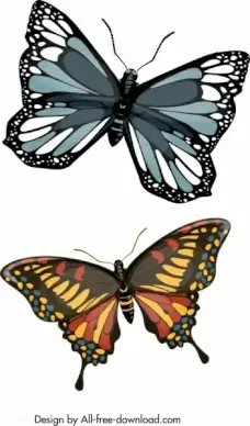 nature butterfly icons dark colorful modern design