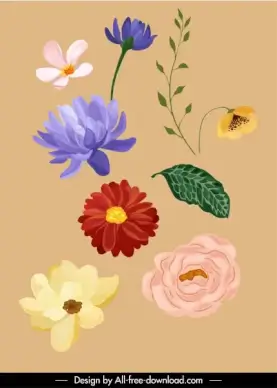 nature design elements colored classic petals leaf sketch