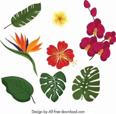 nature design elements floral leaves icons colorful design