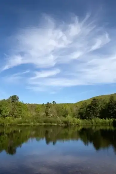 nature landscape clouds sky pond water trees summer