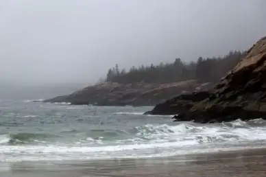 nature landscape ocean beach rocks water trees rain