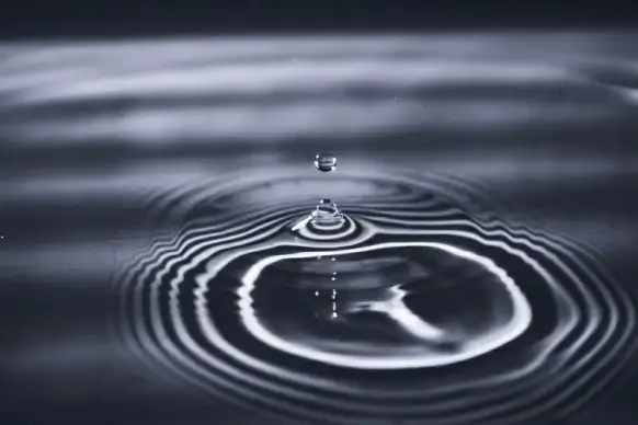 nature picture elegant dark dynamic water drop movement  