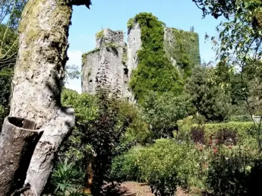 nature reclaims