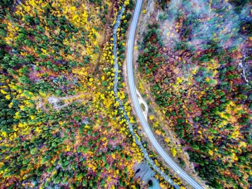 nature scenery picture  curvy road forest high view scene 