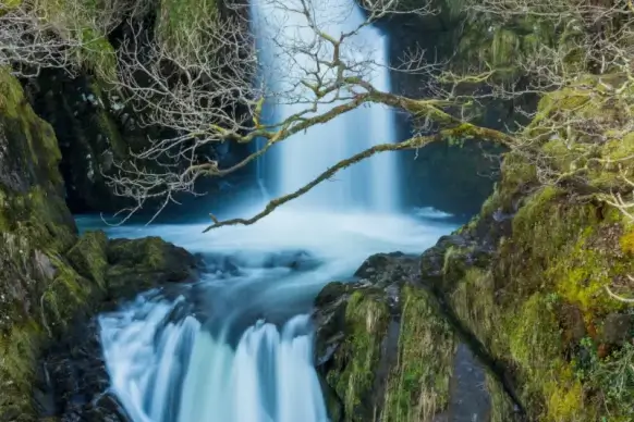 nature scenery picture elegant dynamic stream