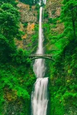 nature scenery picture elegant dynamic waterfall trees bridge