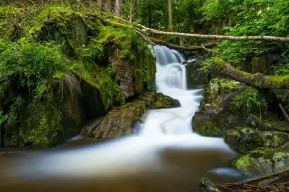 nature scenery picture waterfall flow forest scene 