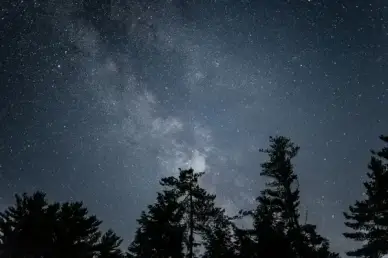 nature stars milky way night galaxy astro trees sky