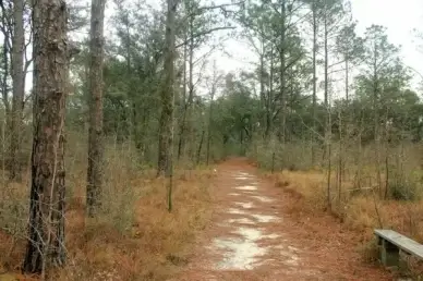 nature trail and landscape at reed bingham state park georgia