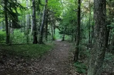 nature trail at point beach state park wisconsin