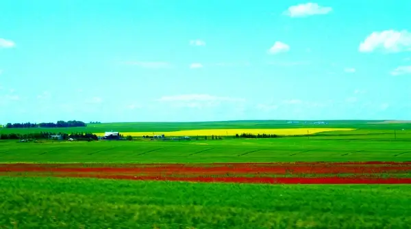 nature canvas