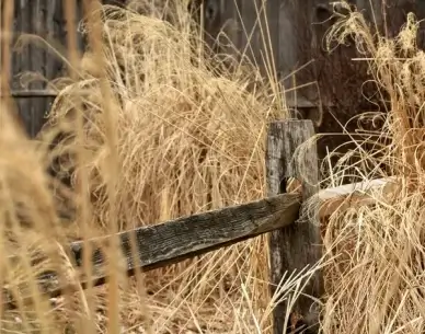 neighborhood fence march